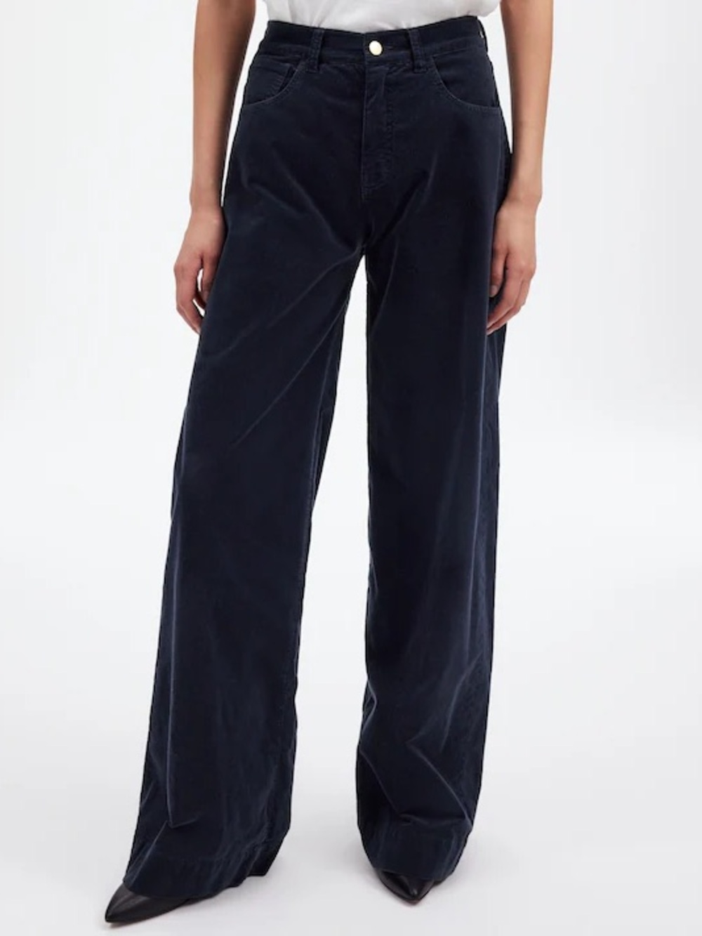 Maxwell | Super-Wide Leg Pants in Velvet